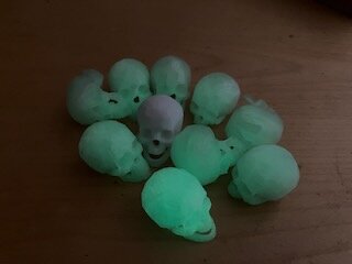 IMG_3519.jpeg IMG_3519.jpeg