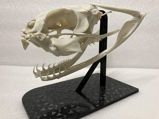 CGngXHG.jpeg CGngXHG.jpeg