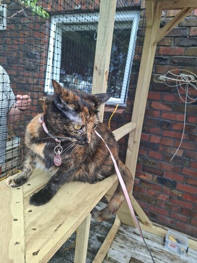 20251115_150811.jpg 20251115_150811.jpg