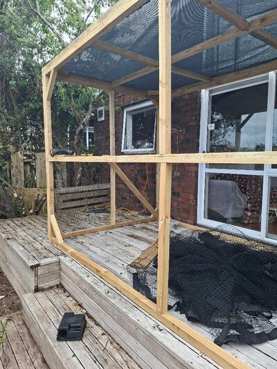 20251115_152658.jpg 20251115_152658.jpg