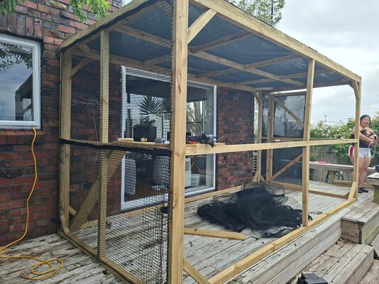 20251115_152709.jpg 20251115_152709.jpg