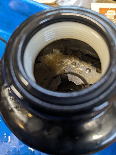 PXL_20240331_112619575.jpg PXL_20240331_112619575.jpg