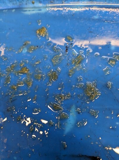 PXL_20240331_113036226.jpg PXL_20240331_113036226.jpg