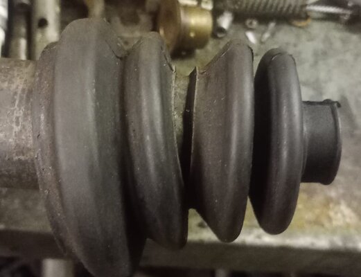 dogbone gaiter .jpg dogbone gaiter .jpg