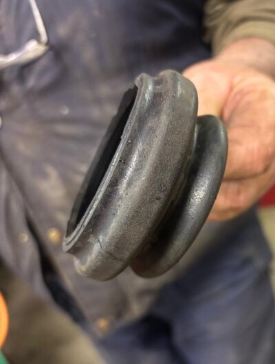 dog bone gaiter1.jpg dog bone gaiter1.jpg