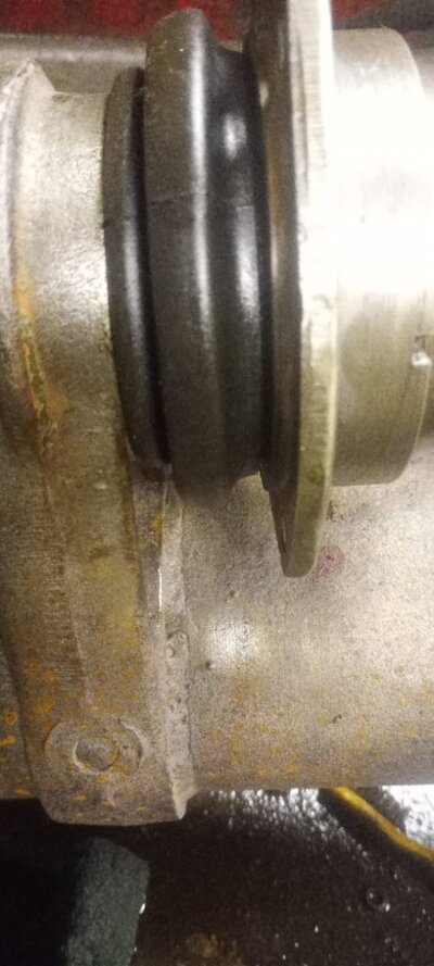 dogbone gaiter close up.jpg dogbone gaiter close up.jpg