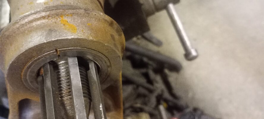 dogbone collar removal.jpg dogbone collar removal.jpg