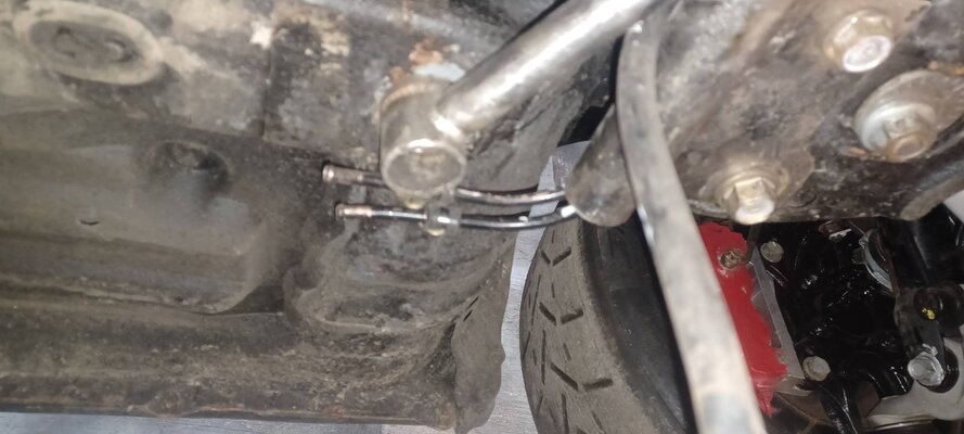 20251124_115155.jpg 20251124_115155.jpg