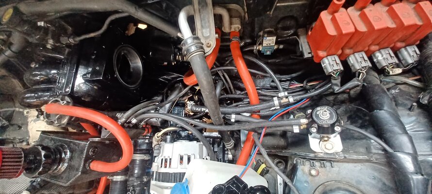 20251124_165535.jpg 20251124_165535.jpg