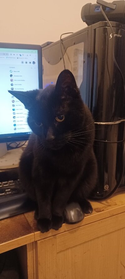 20250703_234442.jpg 20250703_234442.jpg