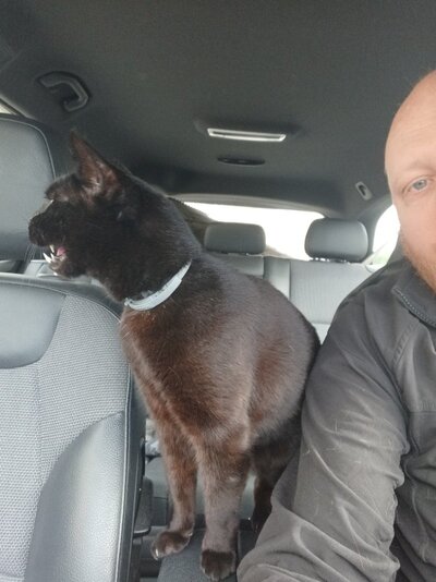 20250325_145437.jpg 20250325_145437.jpg