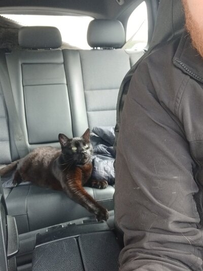 20250325_145417.jpg 20250325_145417.jpg