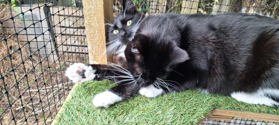 584736722_827176389950383_4193424196130371959_n.jpg 584736722_827176389950383_4193424196130371959_n.jpg