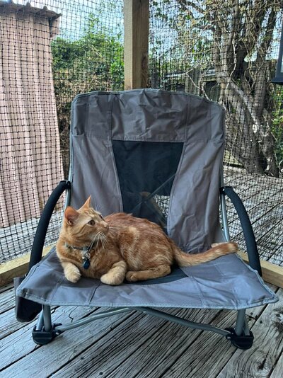 588263459_786836707722558_5959853640828502884_n.jpg 588263459_786836707722558_5959853640828502884_n.jpg