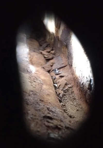 Screenshot_20251126-225400 (1).png