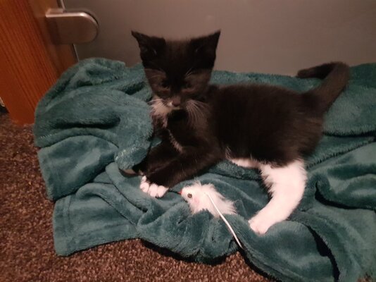 20251009_215203.jpg 20251009_215203.jpg