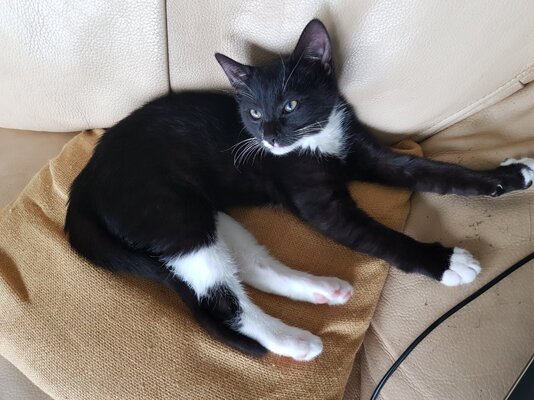 20251116_143605.jpg 20251116_143605.jpg