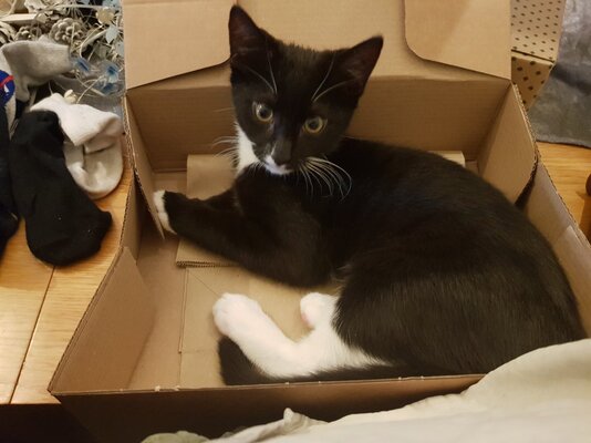 20251125_155613.jpg 20251125_155613.jpg