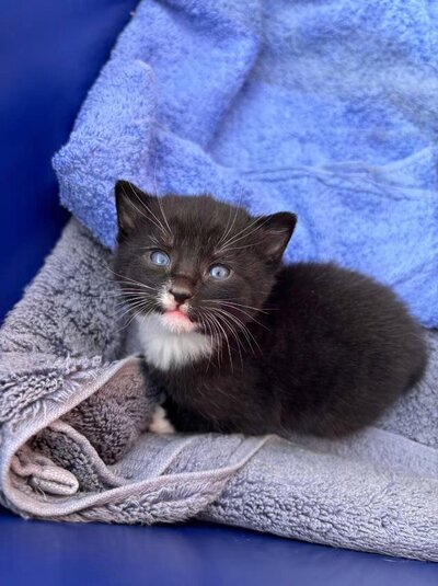 IMG-20251001-WA0000.jpg IMG-20251001-WA0000.jpg