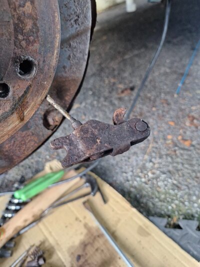 20251129_111206.jpg 20251129_111206.jpg