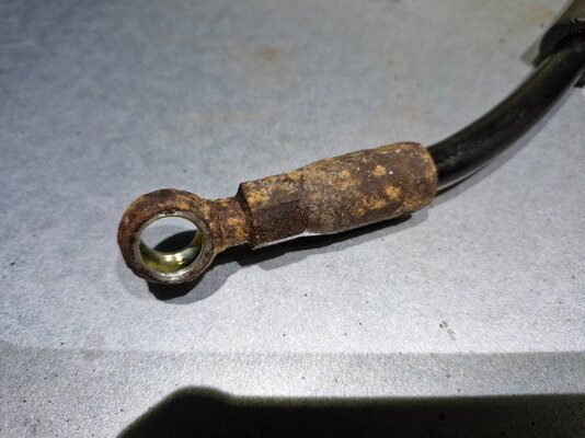 20251203_202642.jpg 20251203_202642.jpg