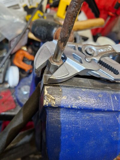 20251203_203227.jpg 20251203_203227.jpg