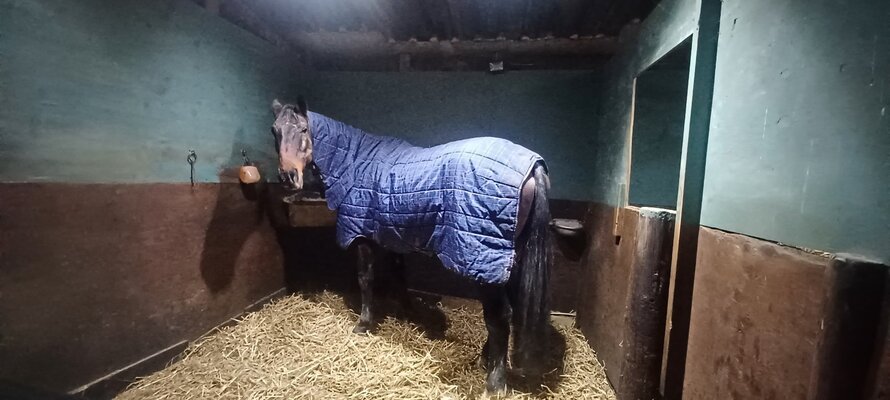 20251214_173617.jpg 20251214_173617.jpg