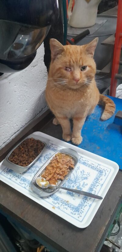 WhatsApp Image 2025-12-22 at 11.47.30 (1).jpeg