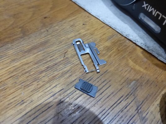 P1010203.JPG P1010203.JPG