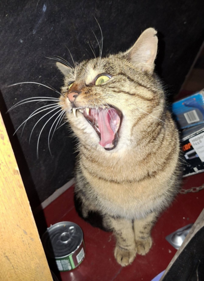 1766929821123.png 1766929821123.png