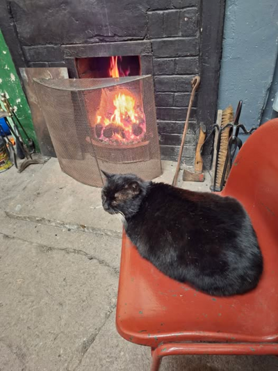 1767726693670.png 1767726693670.png