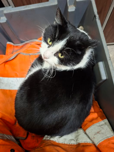 1767726768315.png 1767726768315.png