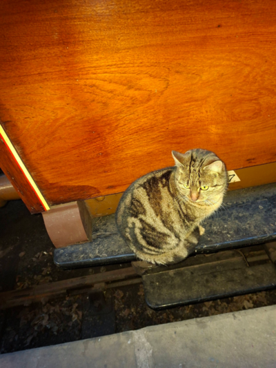 1767726844793.png 1767726844793.png