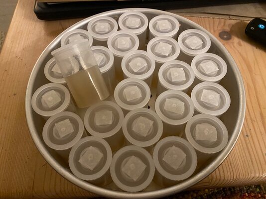 IMG_8300.jpeg IMG_8300.jpeg