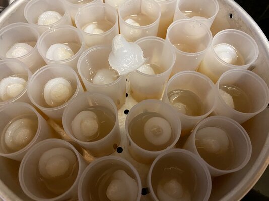 IMG_8301.jpeg IMG_8301.jpeg