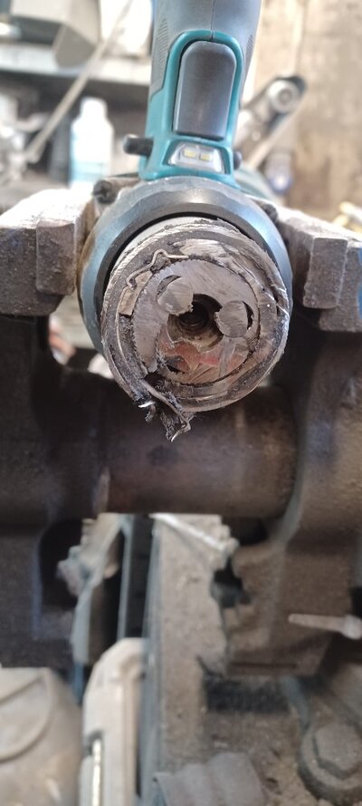 20260201_161545.jpg 20260201_161545.jpg