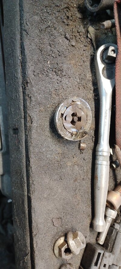 20260201_161536.jpg 20260201_161536.jpg