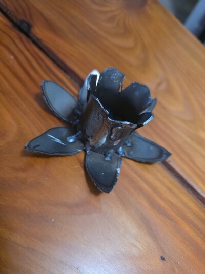 daffodil rough prototype.jpg