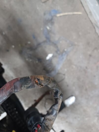 20260203_155440.jpg 20260203_155440.jpg