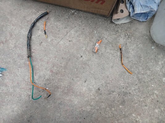 20260203_155420.jpg 20260203_155420.jpg