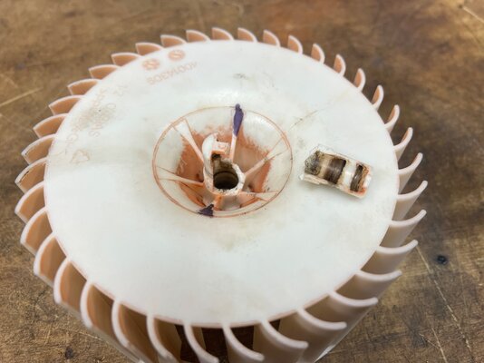 IMG_8404.jpeg IMG_8404.jpeg