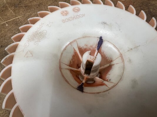 IMG_8405.jpeg IMG_8405.jpeg