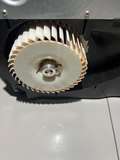 IMG_8409.jpeg IMG_8409.jpeg