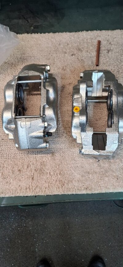 2026-02-14 13.46.51.jpg