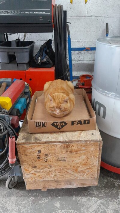 WhatsApp Image 2026-02-18 at 13.10.06.jpeg