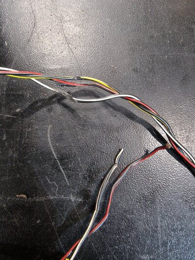 20260225_104920.jpg