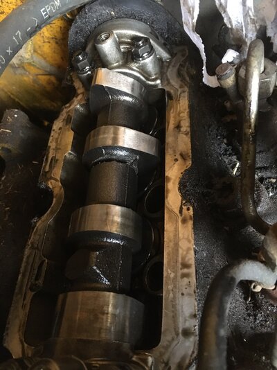 08355F1C-EFE4-4A47-908D-4AF456D7A415.jpeg 08355F1C-EFE4-4A47-908D-4AF456D7A415.jpeg