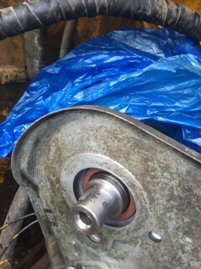 3139DEA2-58A8-45C4-8FC2-8359BE001B95.jpeg 3139DEA2-58A8-45C4-8FC2-8359BE001B95.jpeg