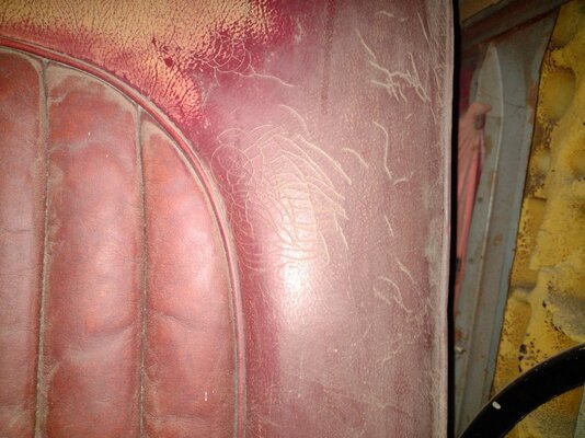 IMG_20210209_161333007.jpg IMG_20210209_161333007.jpg