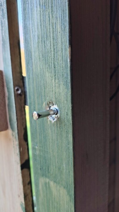 1000021117.jpg 1000021117.jpg